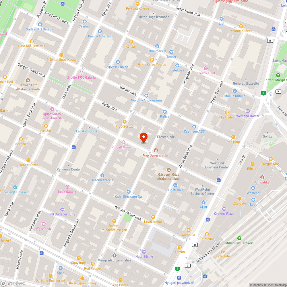 Pocsolya a járdán. bejelentés helye