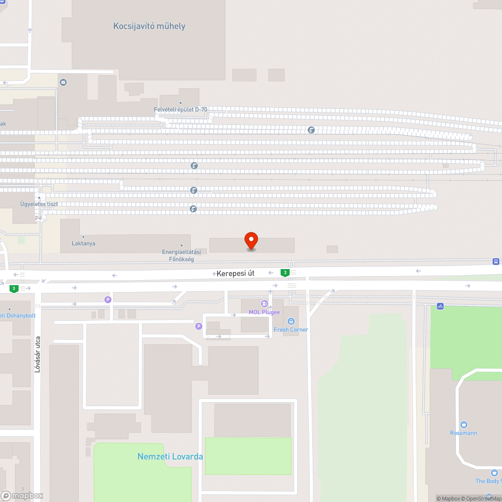 Járdára lógó faágak a Kerepesi úton bejelentés helye