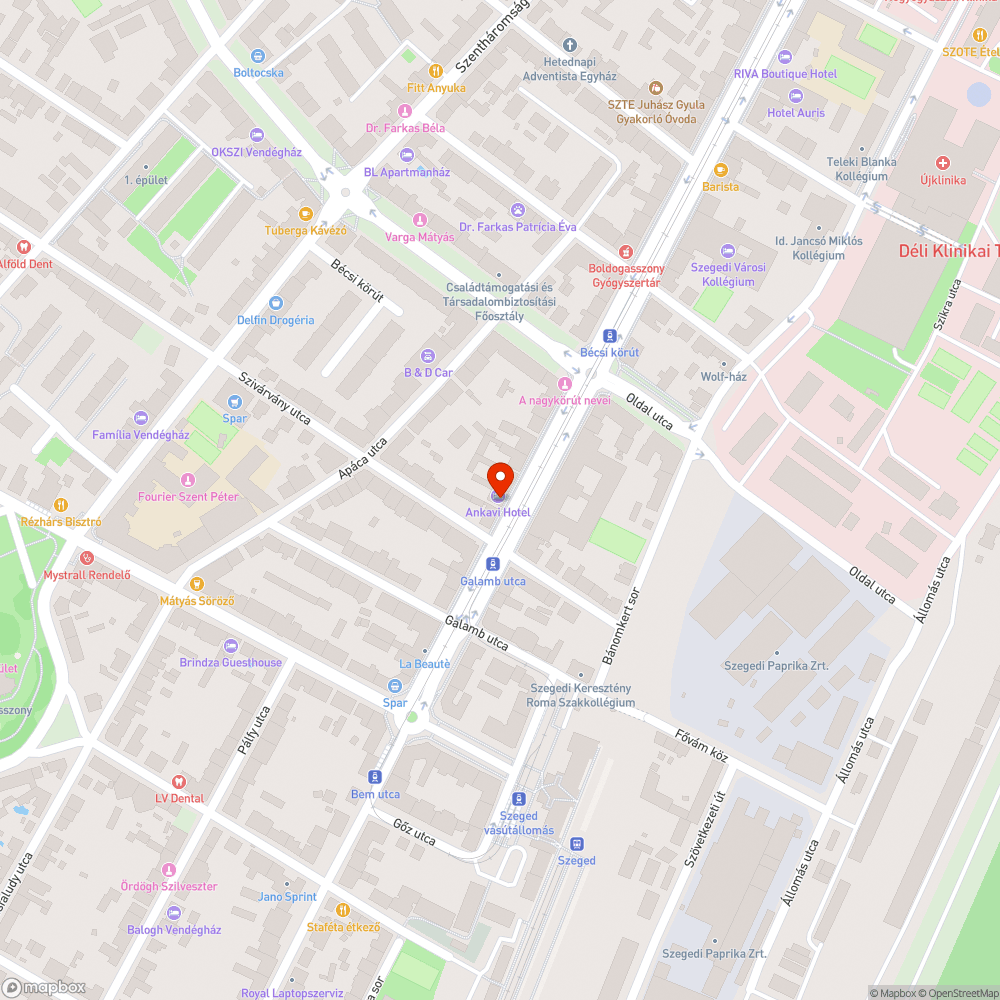 Kivágott fa - Boldogasszony sugárút 55. bejelentés helye