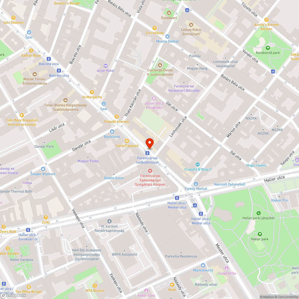 Nincsen közvilágítás egy forgalmas lámpa nélküli gyalogos átkelőnél bejelentés helye