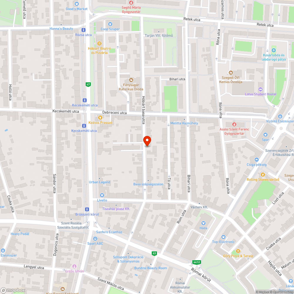 Törmelék kupac és kivágott fa tuskó bejelentés helye