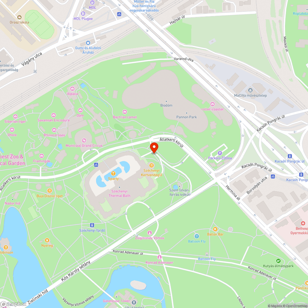 Nincs felfestve a mozgáskorlátozott parkolók útborkolati jele. bejelentés helye