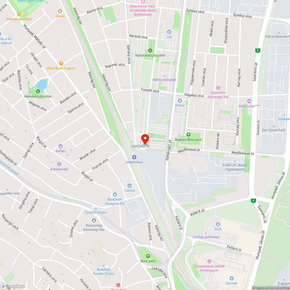 Elburjánzó növényzet a Ljubljana térnél bejelentés helye