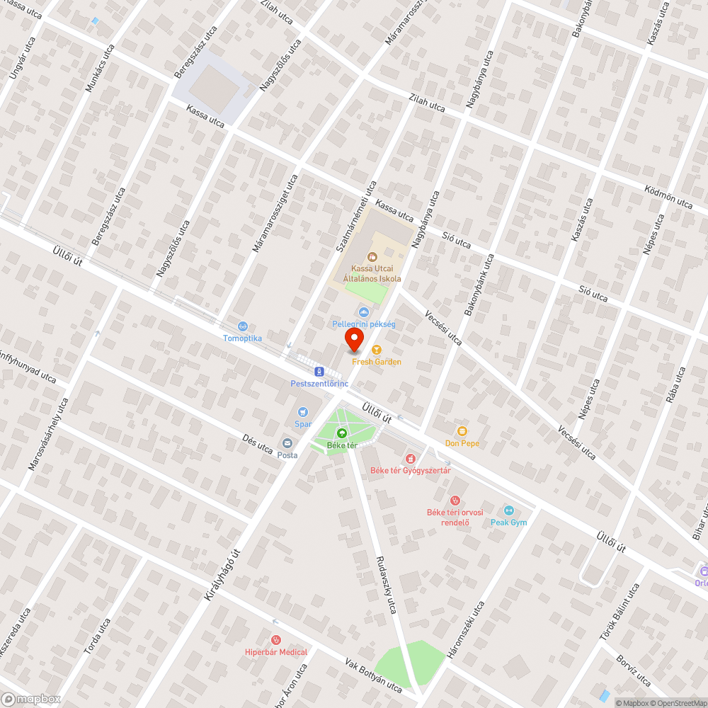 Eldugult víznyelő bejelentés helye