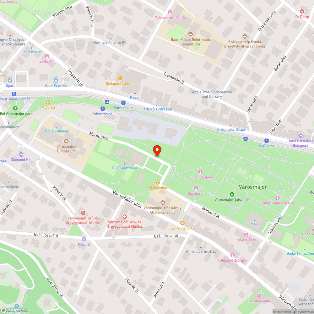 Parkolás zöld felületen, a Városmajor park területén bejelentés helye