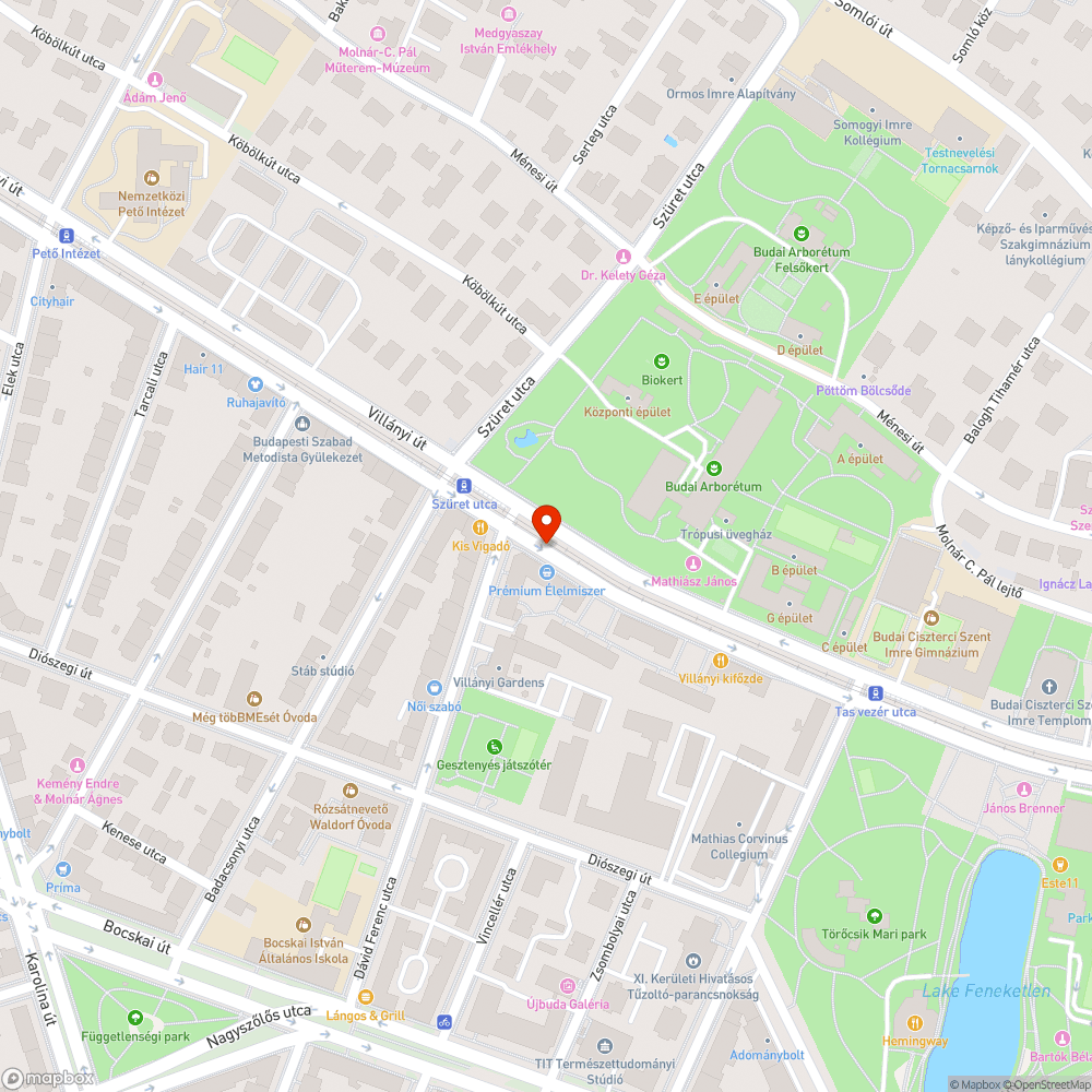 Szegélykövek a fák tövénél a Villányi úton bejelentés helye