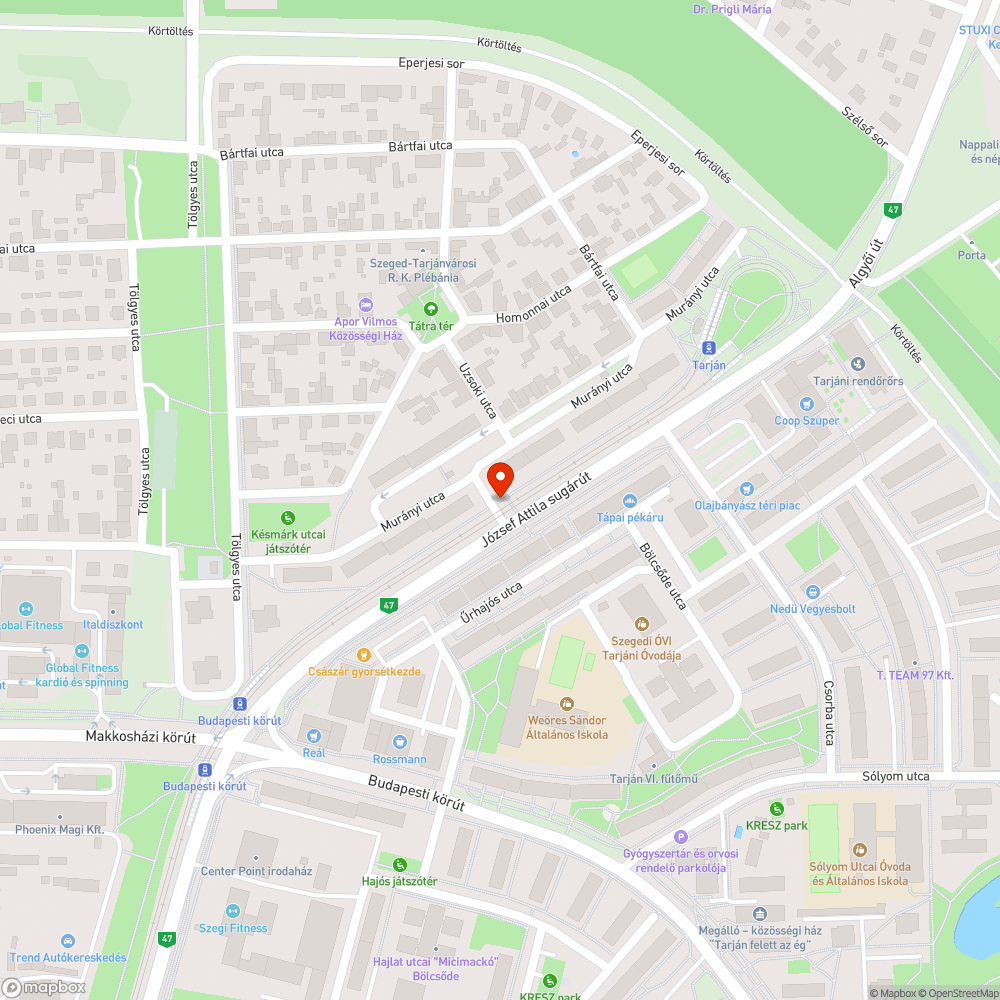 Elkopott veszélyes útszakaszt jelölő felfestés bejelentés helye