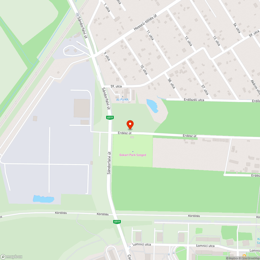 Erdész utcai (Erdőkerülő út) közvilágítás teljes hiánya és teljes elhanyagoltsága. bejelentés helye