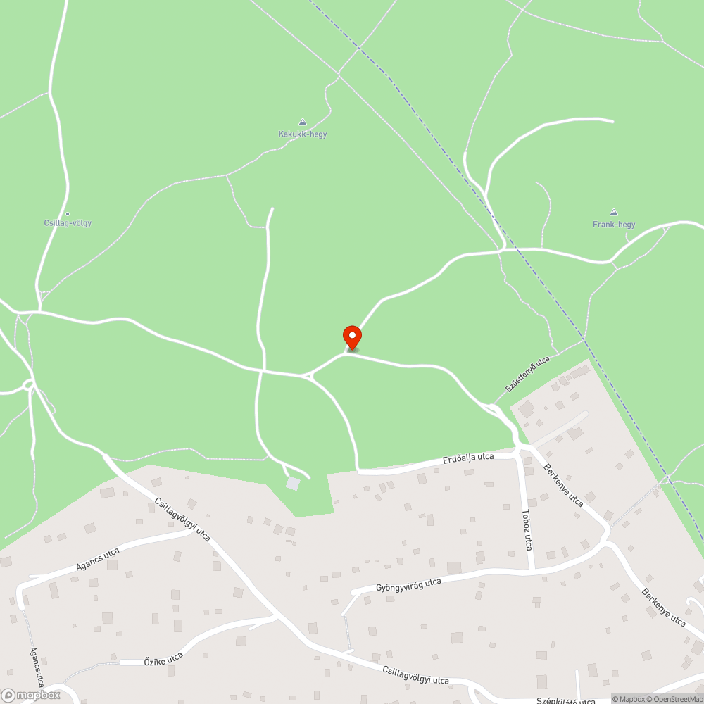 Eltűnt Mária kép bejelentés helye