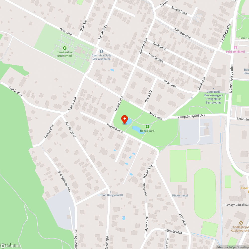 Gőtés tó parkjában vascső áll ki az avarból! bejelentés helye