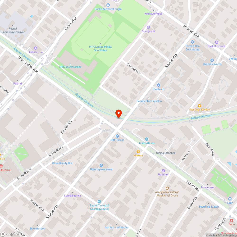 Szemét a Rákospatak gátján/medrében a Bosnyák téri piacnál bejelentés helye