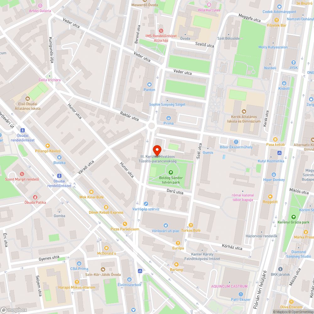 Pocsolyás kutyafuttató bejelentés helye