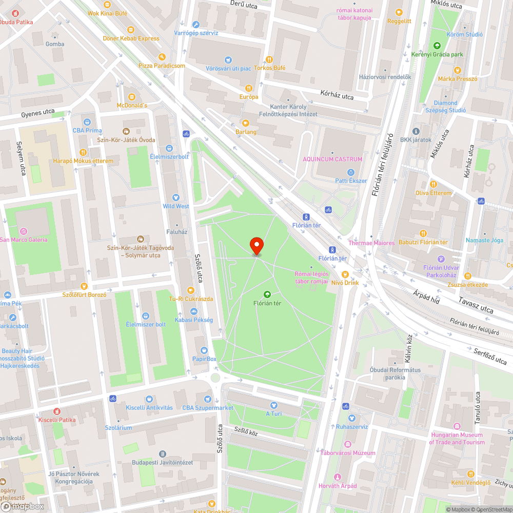 Pocsolyák a Flórián téri park járdáin bejelentés helye