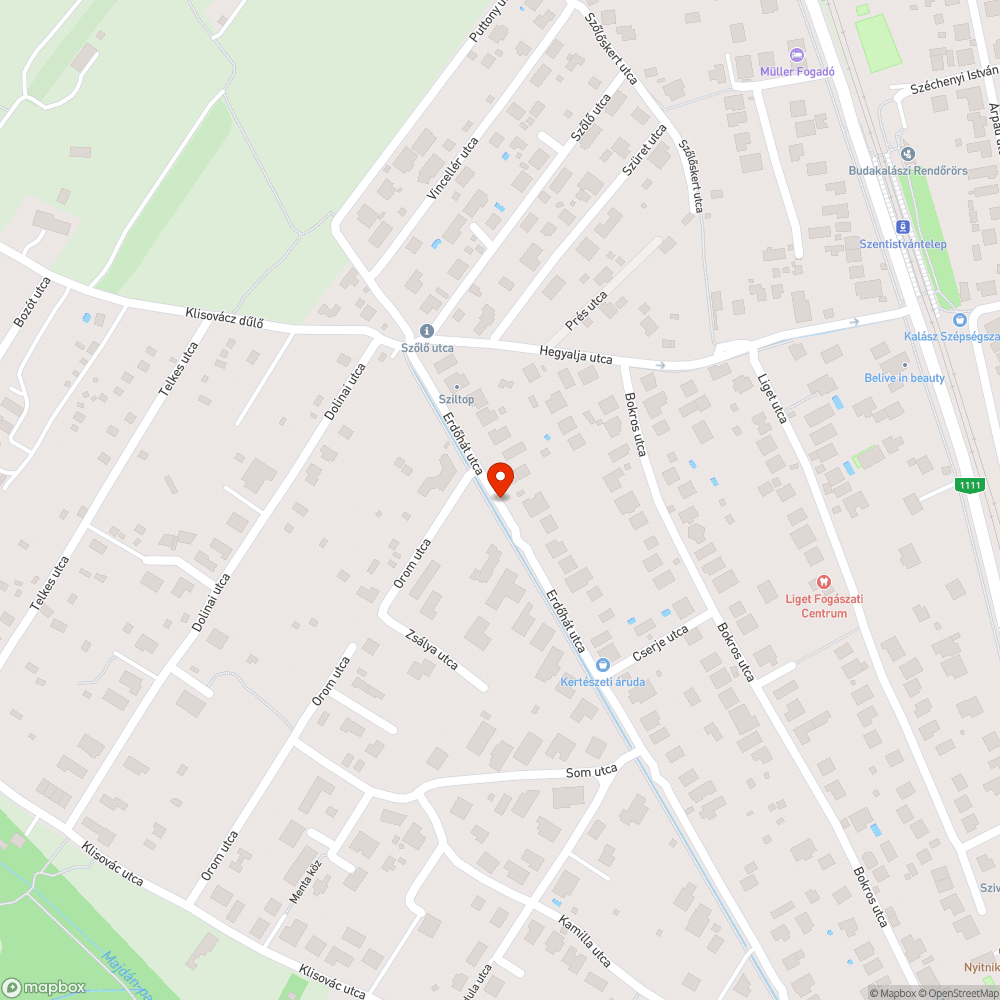 padkanyesés hiánya bejelentés helye