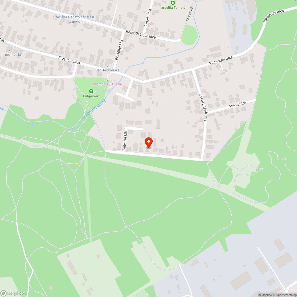 Faág rajta fekszik a vezetéken bejelentés helye