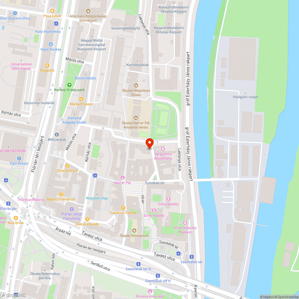 Zászló használata (nemzeti és eu-s: jobb/bal oldal) - Tüdőszűrő Állomás bejelentés helye