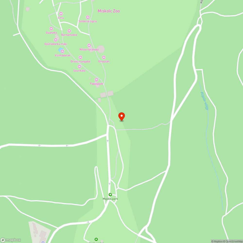 Elhagyott és kiégett jármű a Vadasparknál bejelentés helye