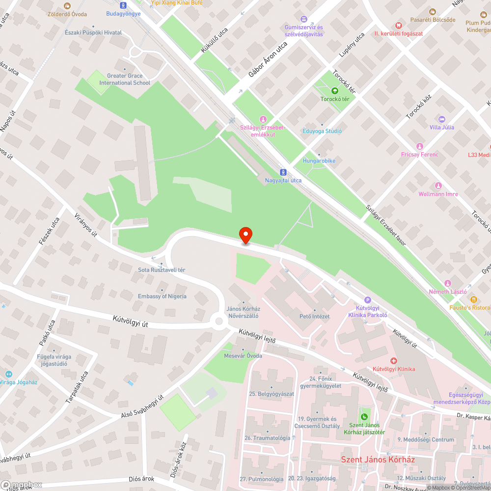 Évek óta nem takarított járda a Pető Intézet mellett bejelentés helye