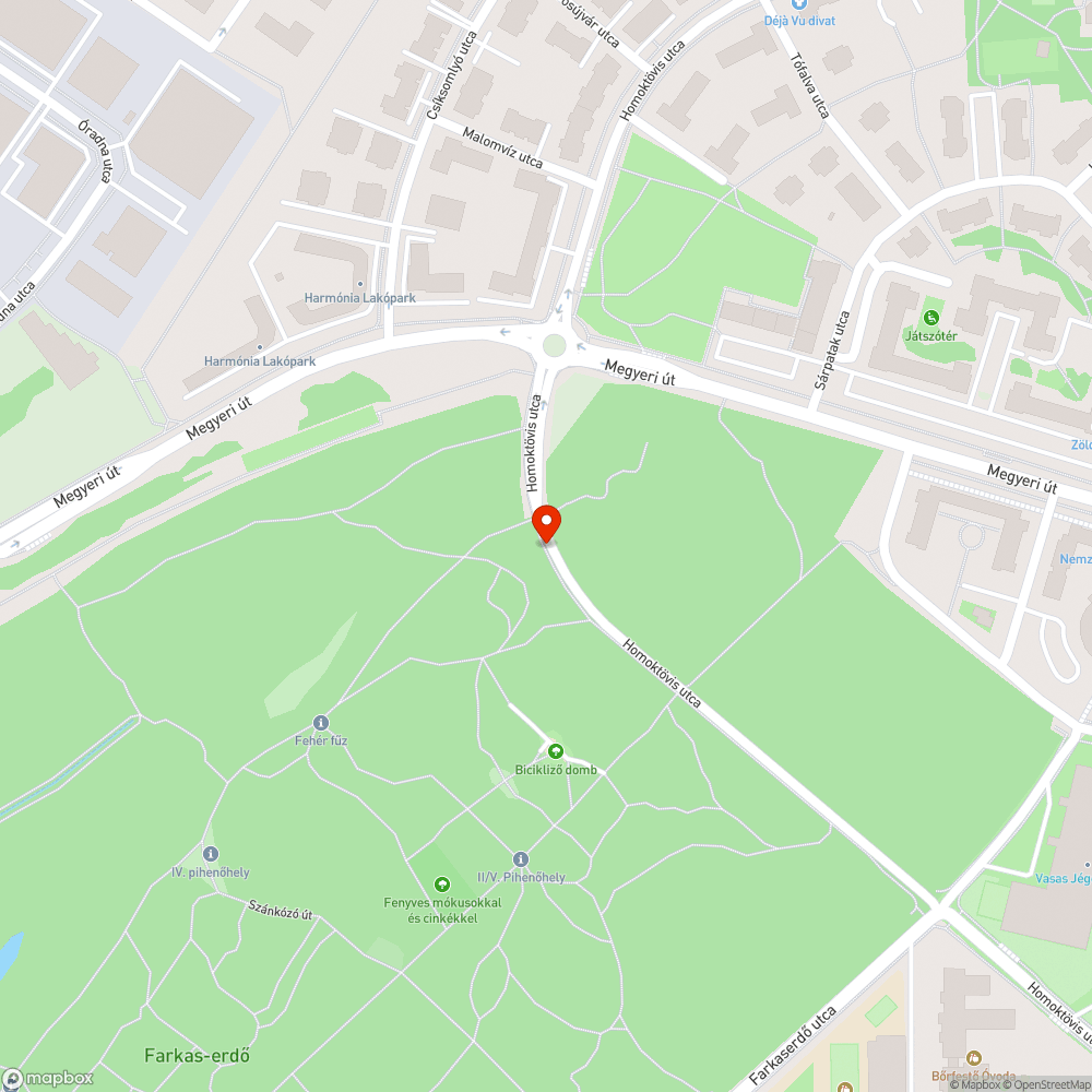 Balesetveszélyes kátyú bejelentés helye