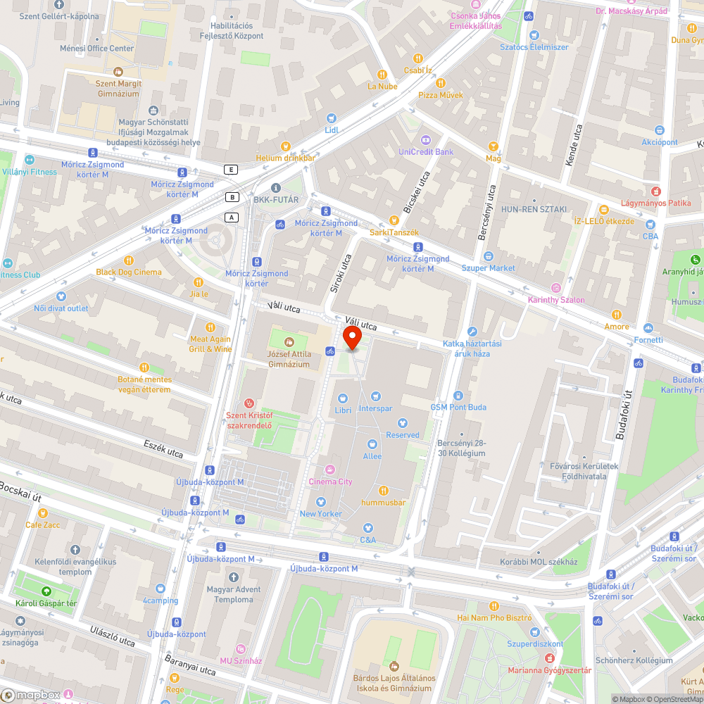 Tele vannak a kis szeméttárolók, szétfolyik a szemét az utcán bejelentés helye