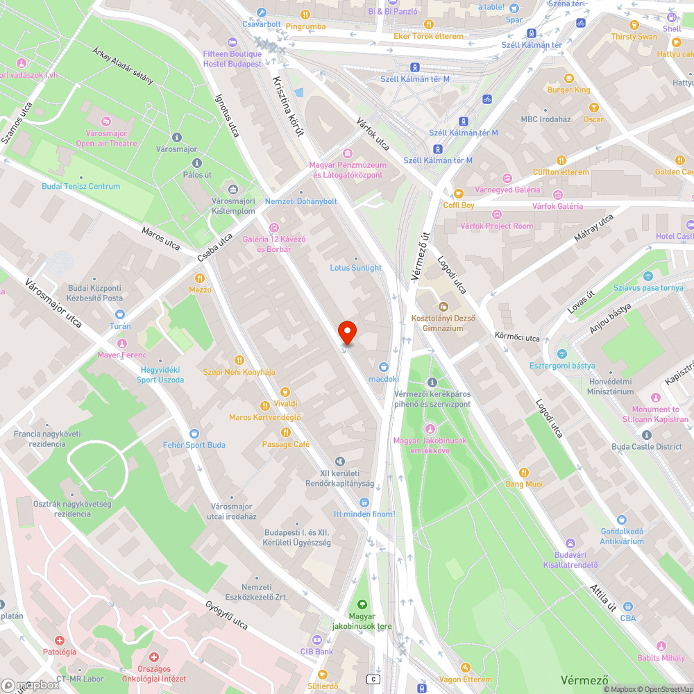 Botlásveszély a Hajnóczy 3 előtt bejelentés helye