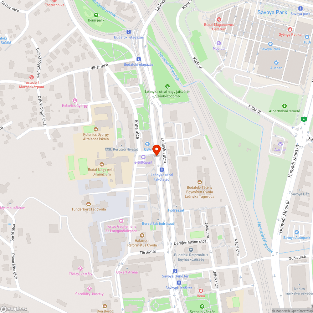 Leányka zebra megáll a víz bejelentés helye