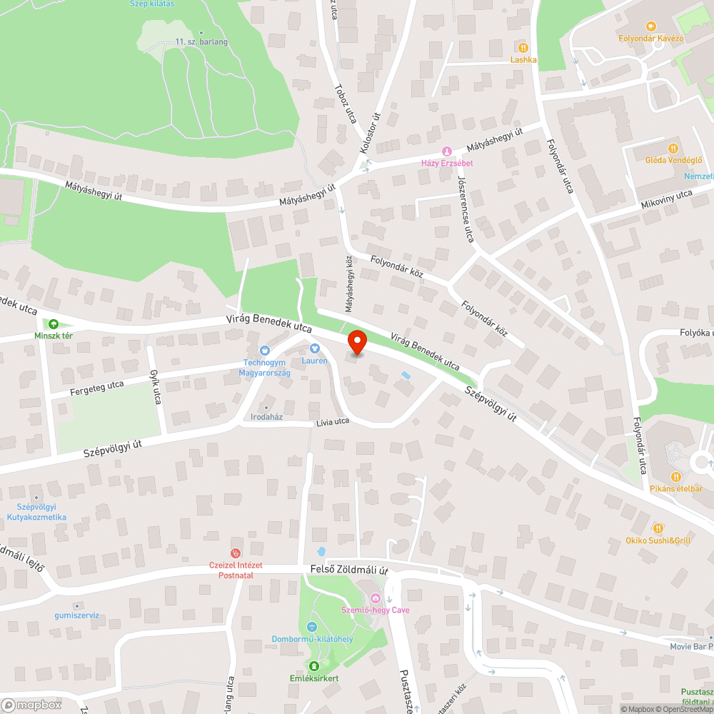 Folyodgáló tűzcsap bejelentés helye