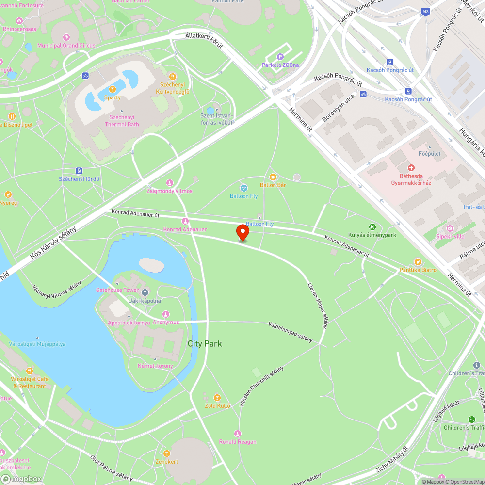 Kivágott fa bejelentés helye