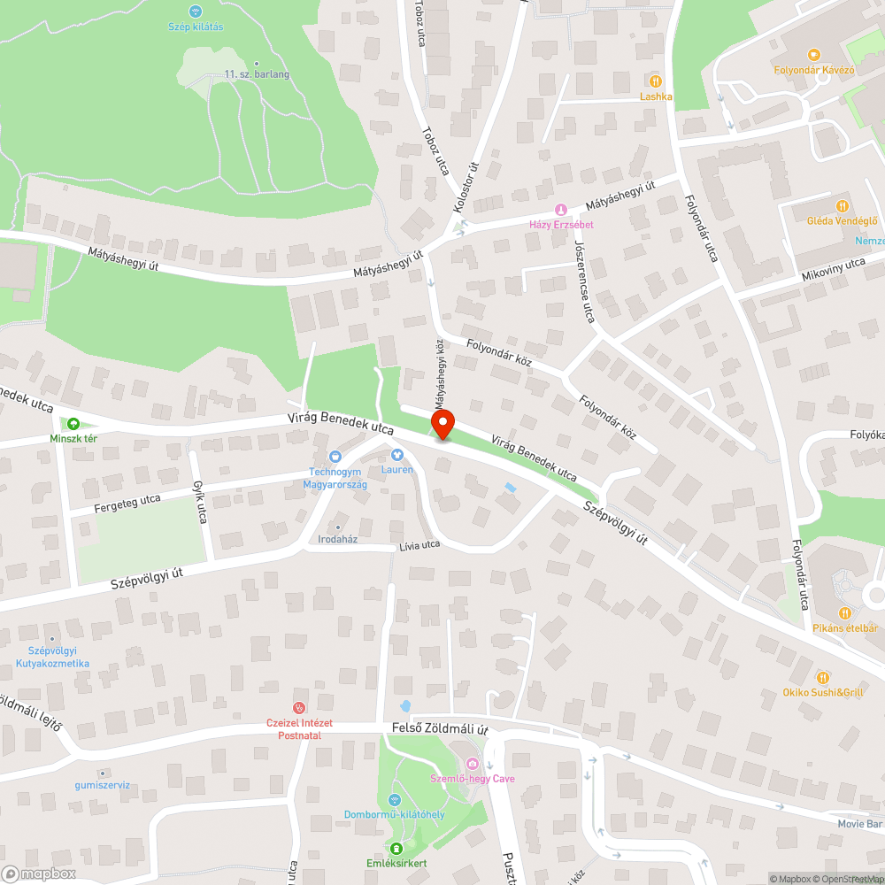 Tűzcsap ereszt bejelentés helye