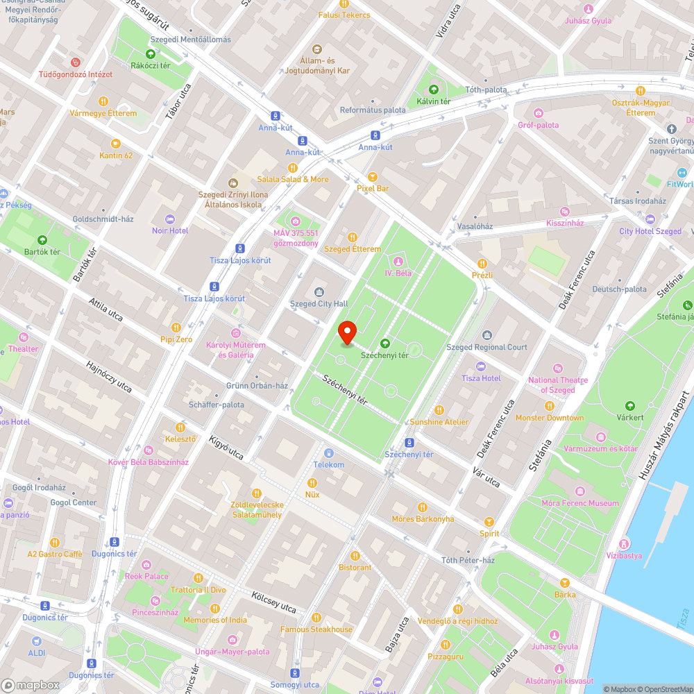 Világít a lámpa, de tele van falevéllel- Széchenyi téren, Klebelsberg Kuno szobránál bejelentés helye