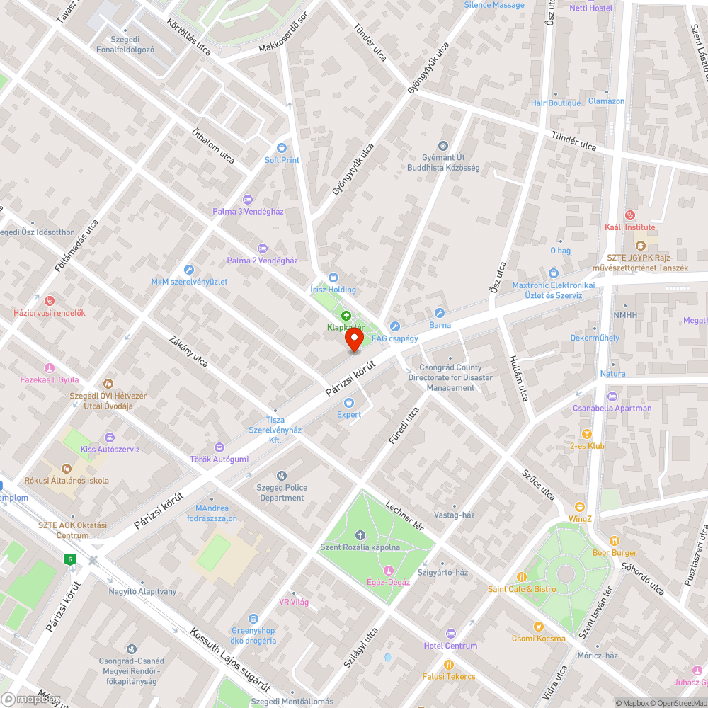 Kivágott fa - Párizsi körút 3. bejelentés helye