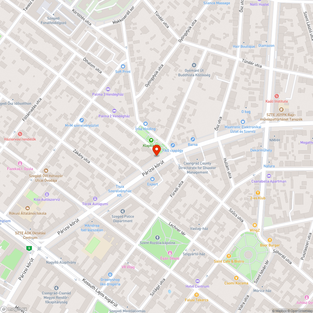 Kivágott fa - Párizsi körút 1. bejelentés helye