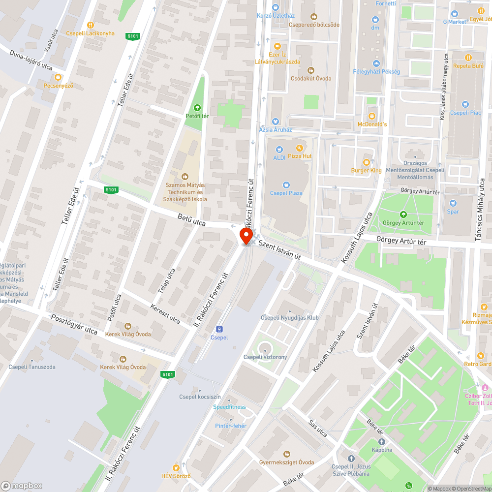 Járda alól feltörő fás szárú növény bejelentés helye