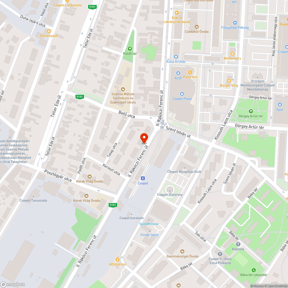 Elhanyagolt zöldterület és kiszáradt, visszavágott fatörzsek bejelentés helye