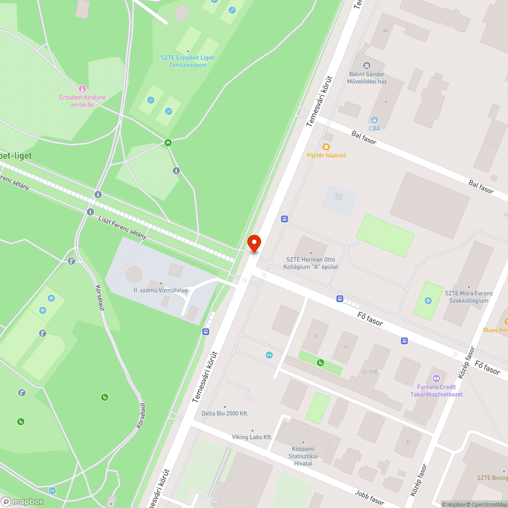 Összefirkált, és alacsonyan levő tábla - Temesvári körút, Fő fasor sarka bejelentés helye