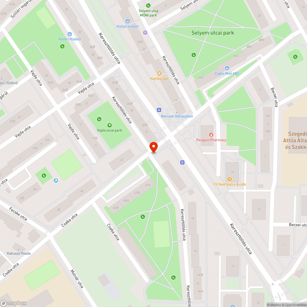 Fa gyökere felnyomta a járdát bejelentés helye