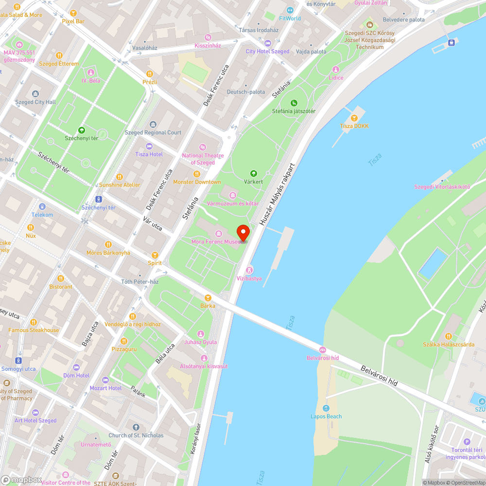 Műanyag fólia a fán - Múzeum mellett bejelentés helye