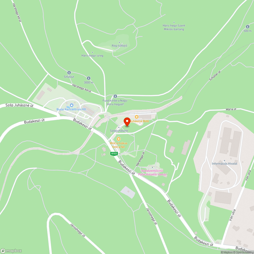 Autók az erdőben bejelentés helye