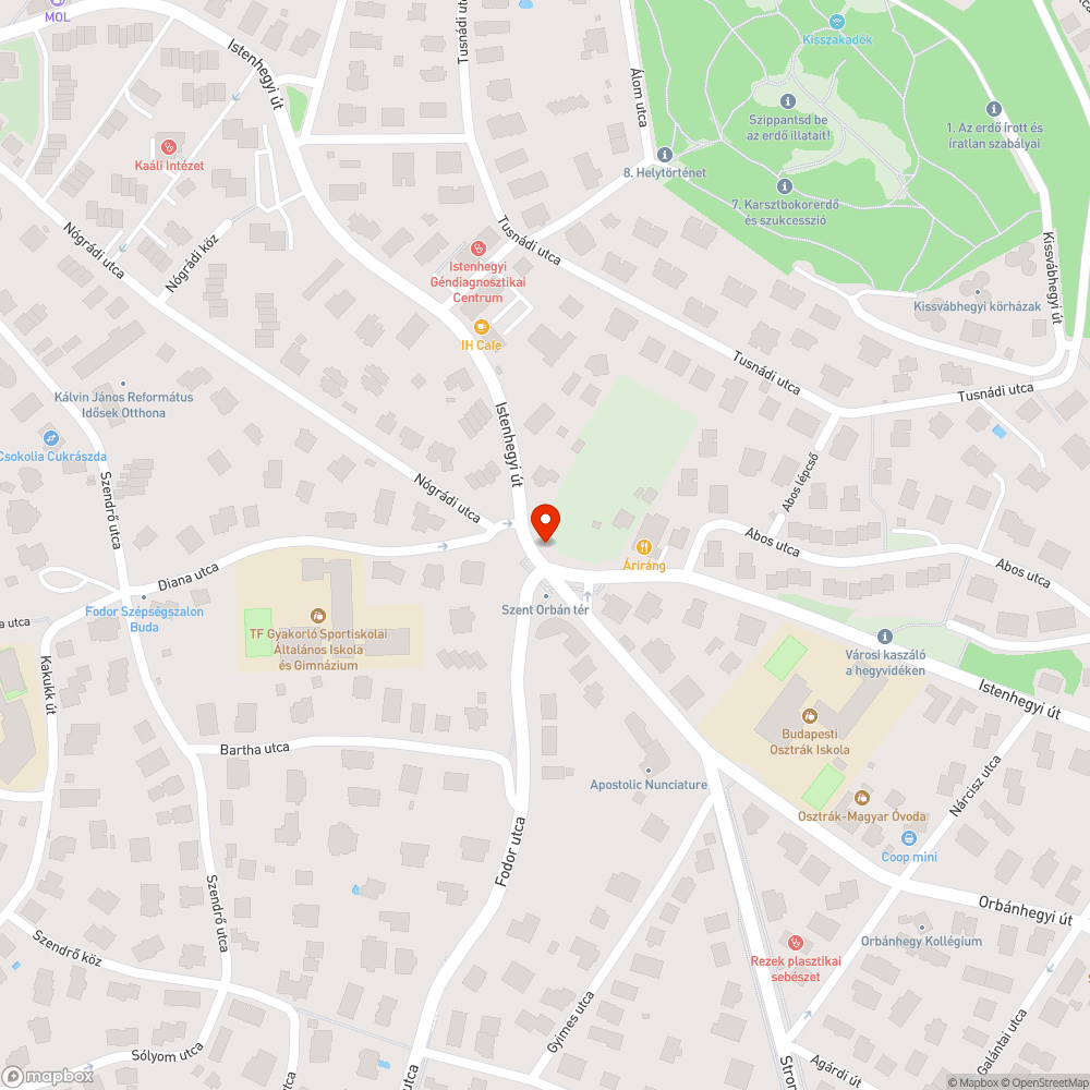 Erősen füstölő busz bejelentés helye