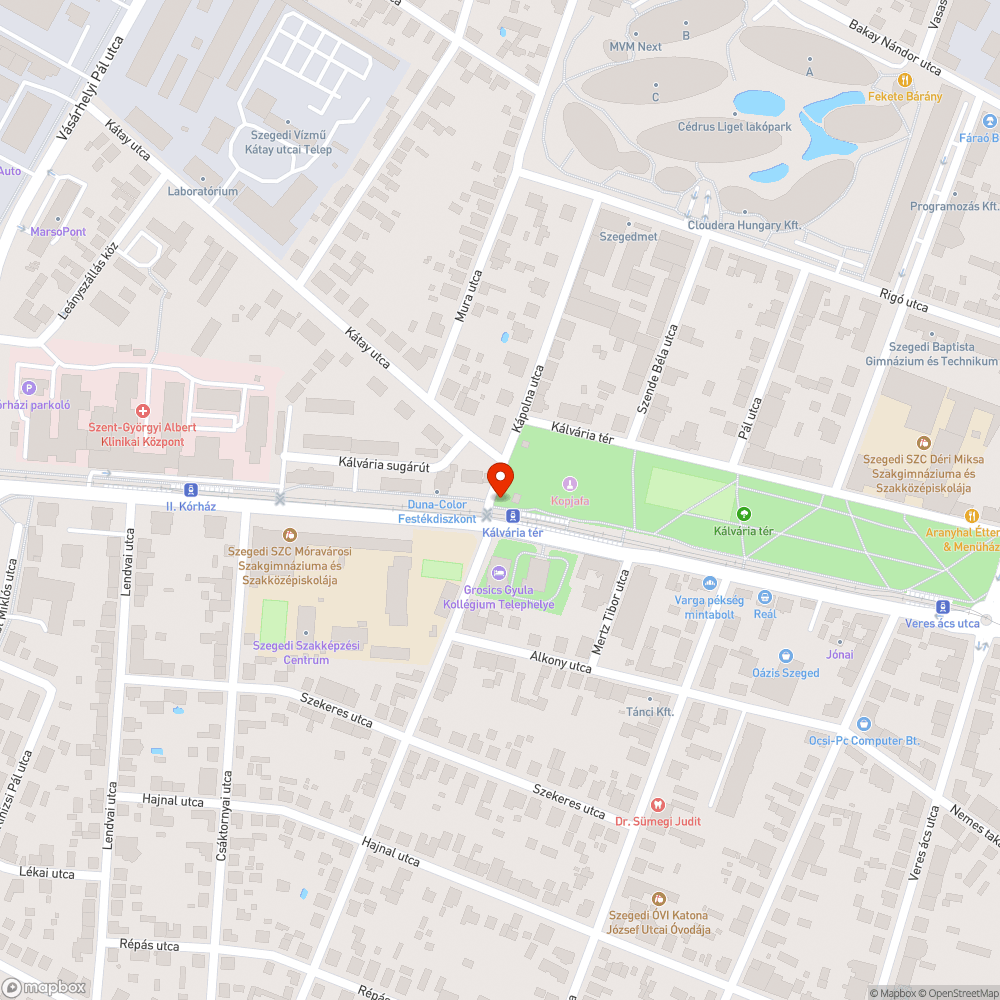 Kivágott fa - Kálvária tér, Super hamburgeres mellett bejelentés helye