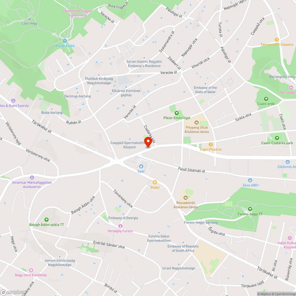 Járdára dőlt fa bejelentés helye