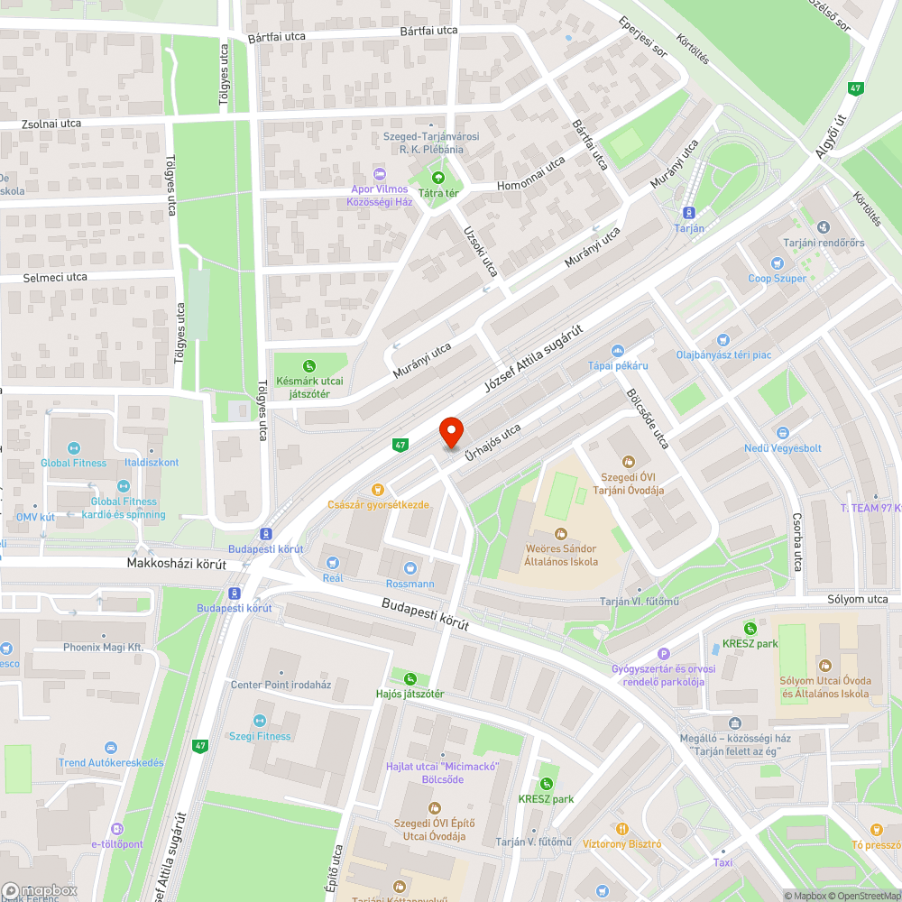 Leszakadt szemetes - Ürhajós utca 5. bejelentés helye