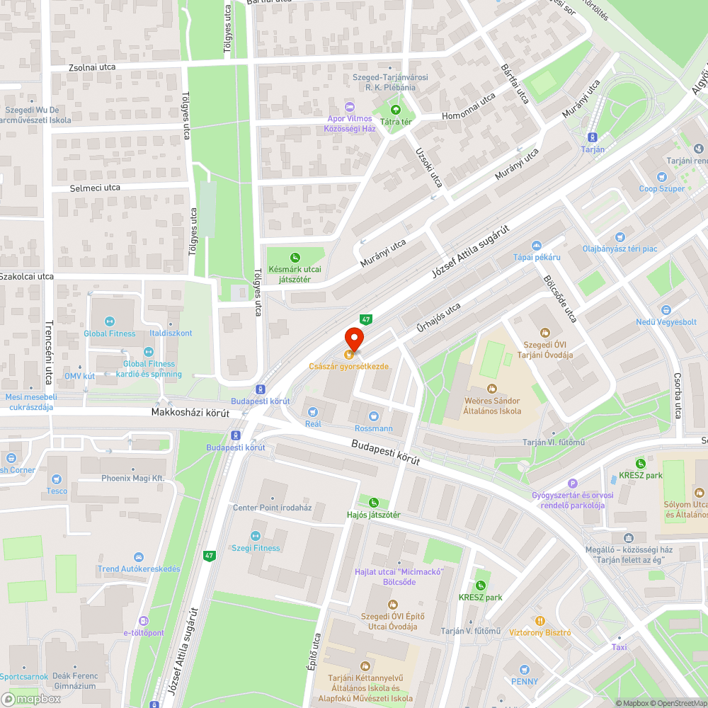 Kivágott fa - Budapesti körút, Pingvin patika oldalánál bejelentés helye