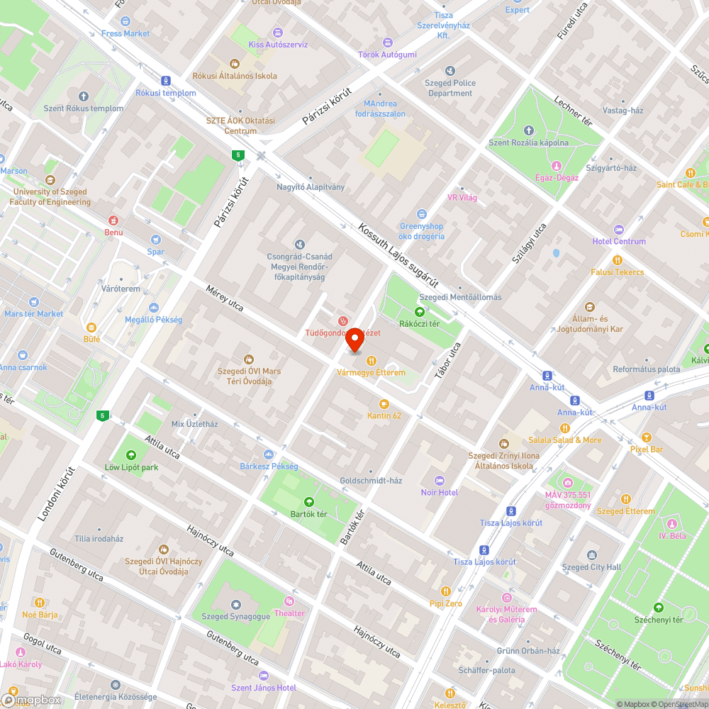 Botlásveszélyes fedlap - Rákóczi tér 1. bejelentés helye