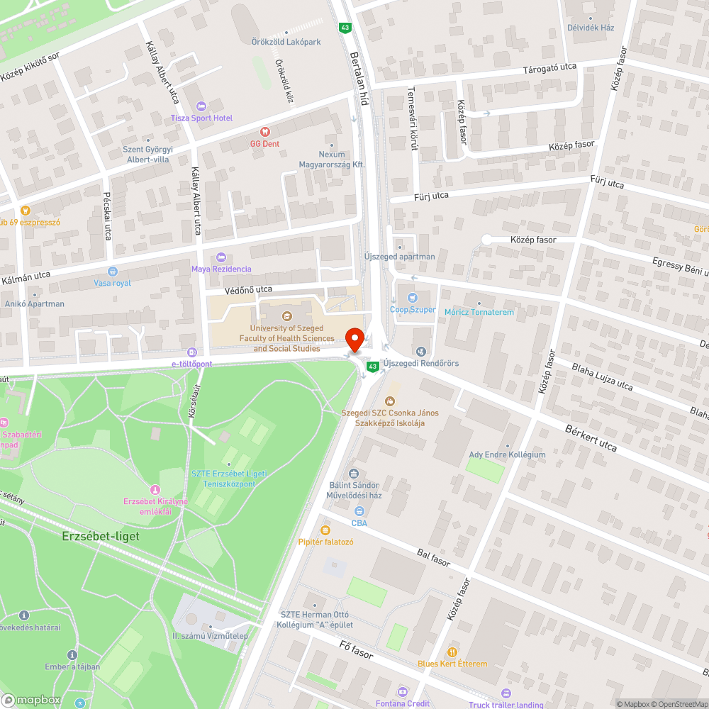 Kerékpárzár az oszlopon - Temesvári krt. (Népkert sor) bejelentés helye