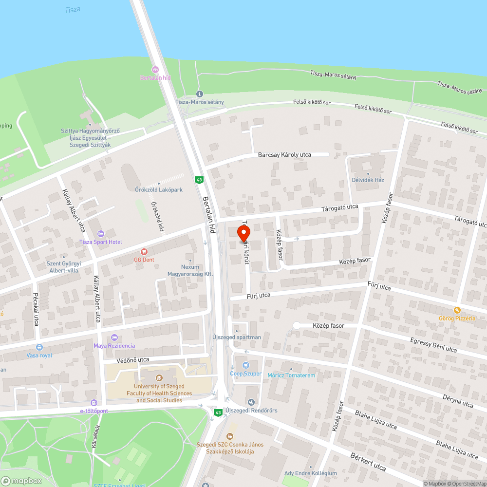 Kivágott fa - Temesvári krt. 18. bejelentés helye