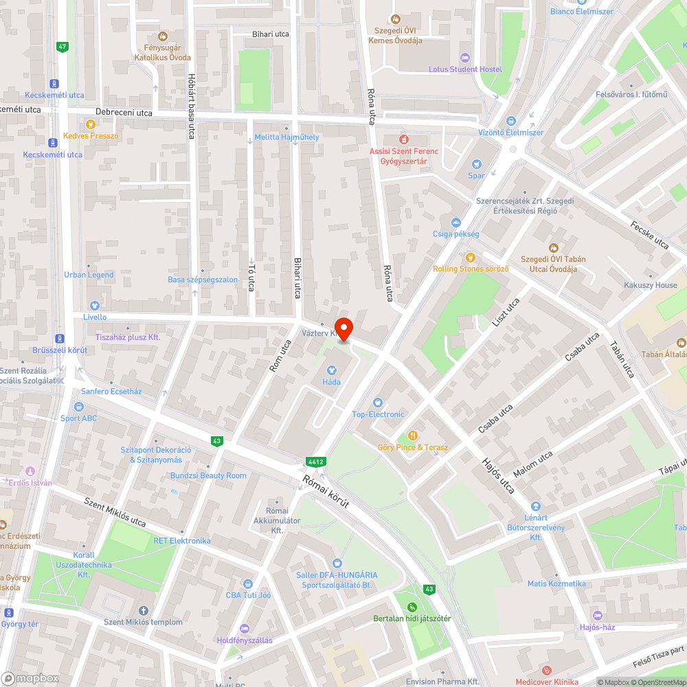 Szemétkupacok az avar alatt és gyomfák mindenhol bejelentés helye