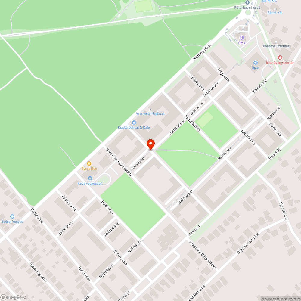 Szabálytalan parkolás bejelentés helye