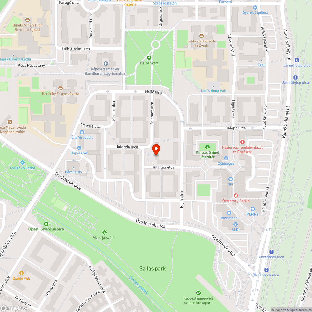 Szivárgó tűzcsap bejelentés helye