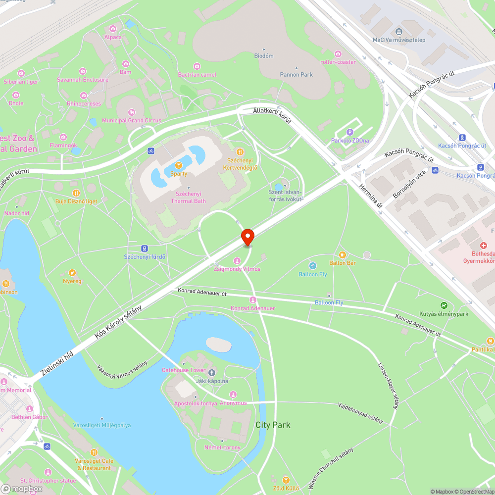 Városligeti roncs bejelentés helye